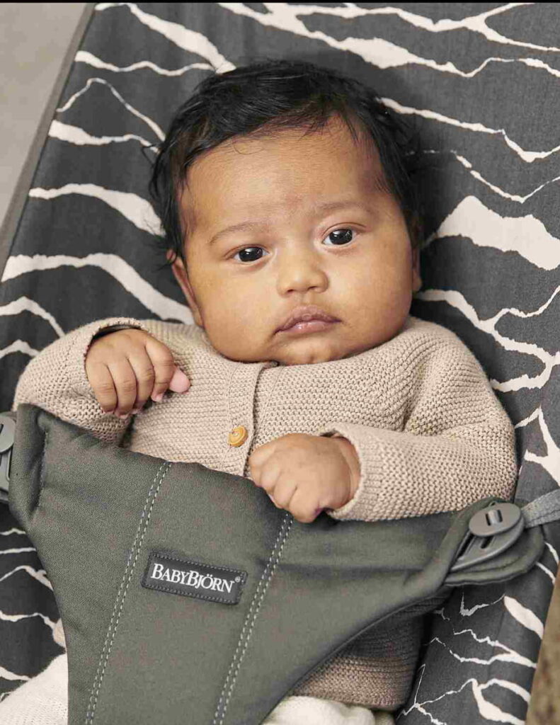 BabyBjorn BLISS šūpuļkrēsls mazuļiem 0-13kg krāsa LANDSCAPE ANTHRACITE, COTTON