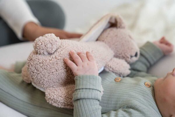 Autokreslini.lv | Snoggy sildošais spilvens Bunny Biscuit bilde #27