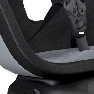 Thule Yepp Nexxt 2 Maxi
