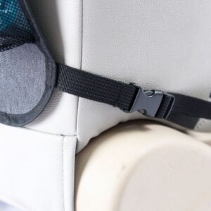 BabyDan Tablet Backseat organizer Grey