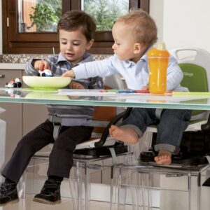 Peg Perego Rialto barošanas krēsliņš