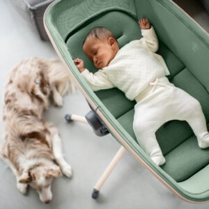 Maxi Cosi ALBA All in1 gultiņa un barošanas krēsls krāsa BEYOND
