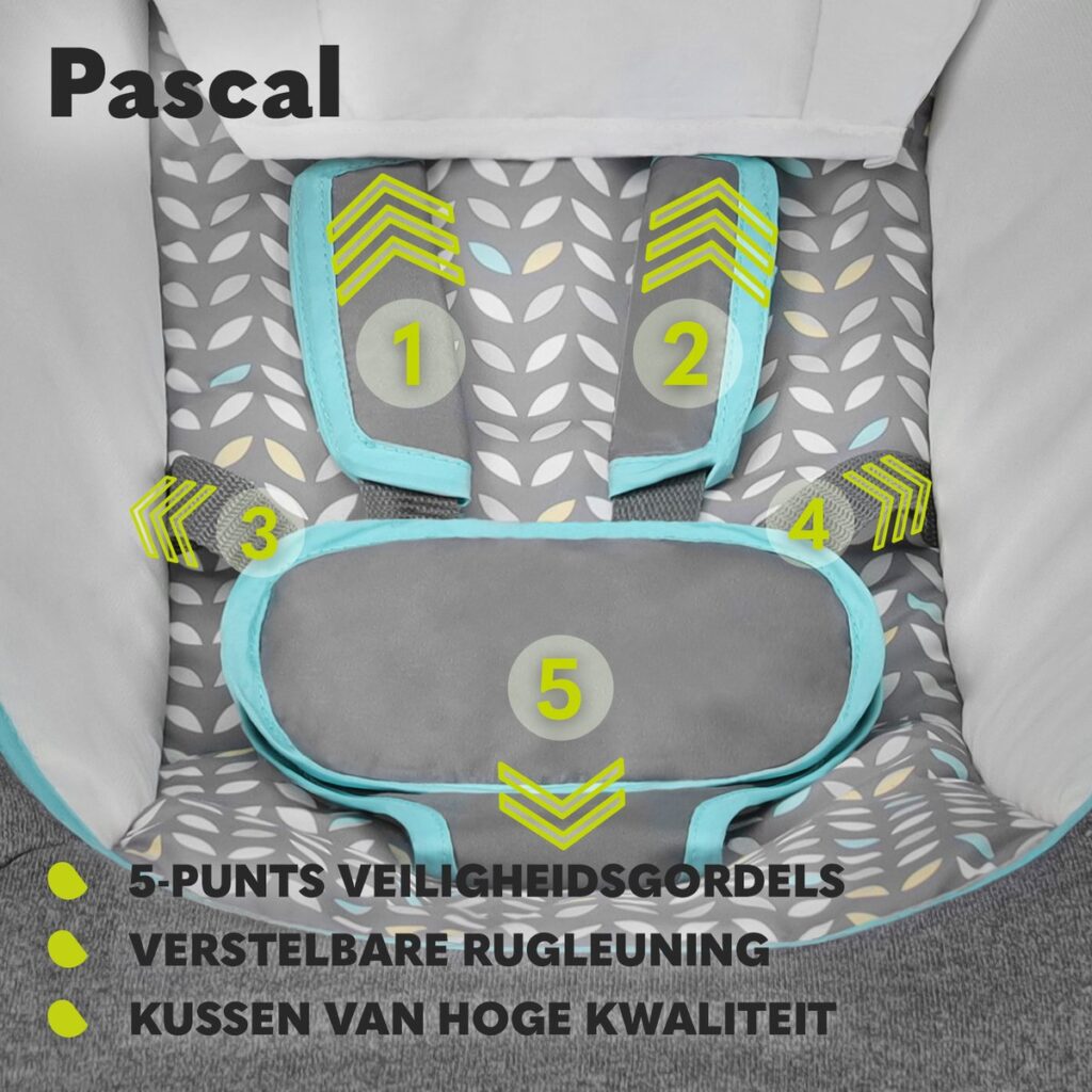 Lionelo PASCAL mazuļu šūpuļkrēsliņš krāsa GREY DOVE