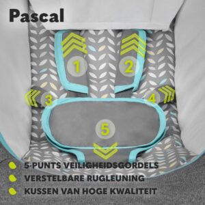 Lionelo PASCAL mazuļu šūpuļkrēsliņš krāsa GREY DOVE