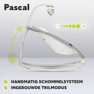 Lionelo PASCAL mazuļu šūpuļkrēsliņš krāsa GREY SCANDI