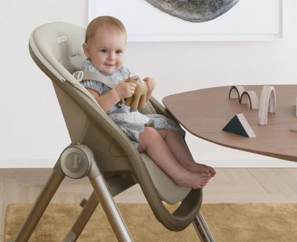 Autokreslini.lv | Living barošanas krēsls krāsa True Black bilde #25