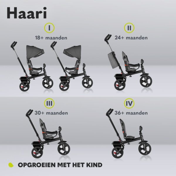 Autokreslini.lv | HAARI trīsritenis krāsa STONE GREY bilde #21