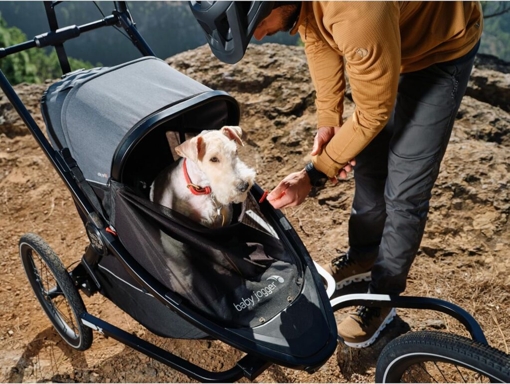 BabyJogger City PRIX bērnu ratiņi/velopiekabe krāsa AMBITION BLACK