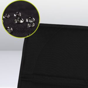 Lionelo Sikker automašīnas krēsla aizsargs krāsa Black Carbon