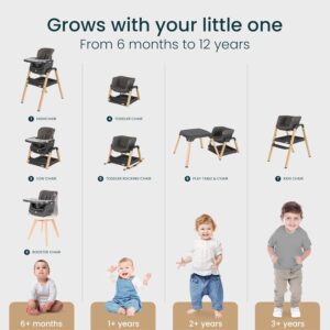 Tutti Bambini NOVA bērnu barošanas krēsls 7in1 krāsa Grey/Oak