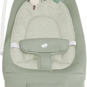Joie Dreamer mazuļu šūpuļkrēsliņš krāsa Strata Mist Wood