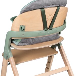 Lionelo Megan 3in1 barošanas krēsls krāsa GREEN WOOD