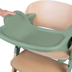 Lionelo Megan 3in1 barošanas krēsls krāsa GREEN WOOD