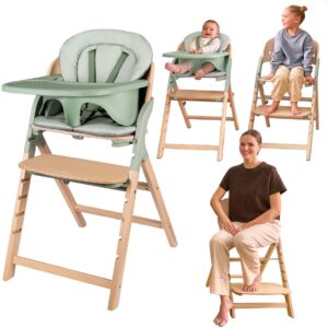 Lionelo Megan 3in1 barošanas krēsls krāsa GREEN WOOD