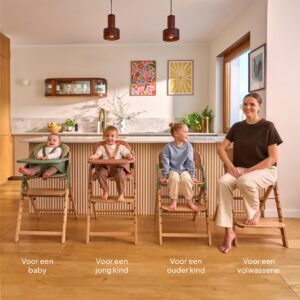 Lionelo Megan 3in1 barošanas krēsls krāsa GREY WOOD