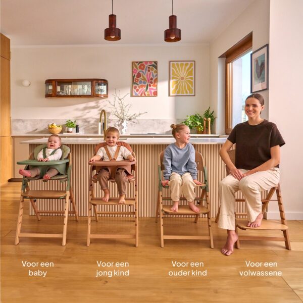 Autokreslini.lv | Megan 3in1 barošanas krēsls krāsa GREY WOOD bilde #37