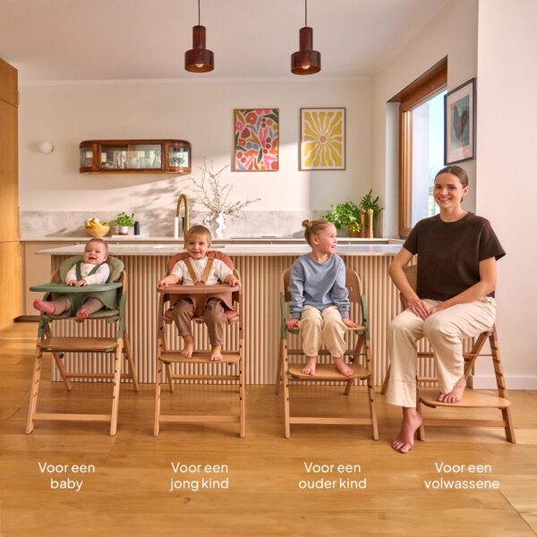 Autokreslini.lv | Megan 3in1 barošanas krēsls krāsa WHITE WOOD bilde #31