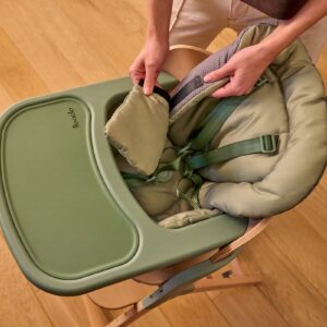 Lionelo Megan 3in1 barošanas krēsls krāsa GREEN WOOD